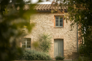 maison-rustique-facade-machefer-texture-verdure