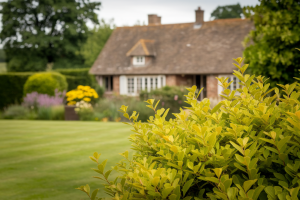 maison-campagnarde-verdure-jardin-lointain