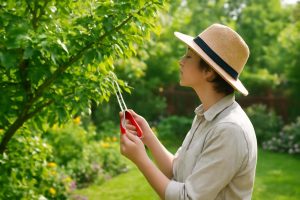 personne-jardinage-arbre-secteur-jardin
